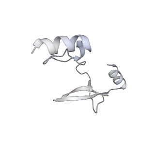 41100_8t8o_R_v1-0
CCW Flagellar Switch Complex - FliF, FliG, FliM, and FliN forming 34-mer C-ring from Salmonella