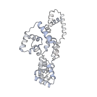 41100_8t8o_SA_v1-0
CCW Flagellar Switch Complex - FliF, FliG, FliM, and FliN forming 34-mer C-ring from Salmonella