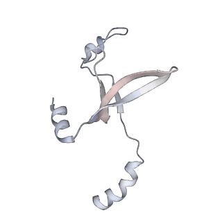 41100_8t8o_SB_v1-0
CCW Flagellar Switch Complex - FliF, FliG, FliM, and FliN forming 34-mer C-ring from Salmonella