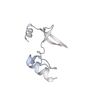 41100_8t8o_SC_v1-0
CCW Flagellar Switch Complex - FliF, FliG, FliM, and FliN forming 34-mer C-ring from Salmonella