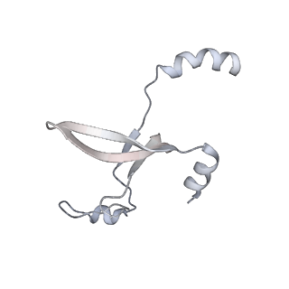 41100_8t8o_SE_v1-0
CCW Flagellar Switch Complex - FliF, FliG, FliM, and FliN forming 34-mer C-ring from Salmonella