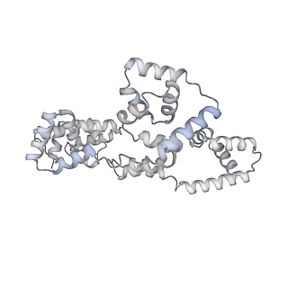 41100_8t8o_SG_v1-0
CCW Flagellar Switch Complex - FliF, FliG, FliM, and FliN forming 34-mer C-ring from Salmonella