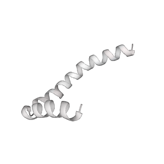 41100_8t8o_S_v1-0
CCW Flagellar Switch Complex - FliF, FliG, FliM, and FliN forming 34-mer C-ring from Salmonella