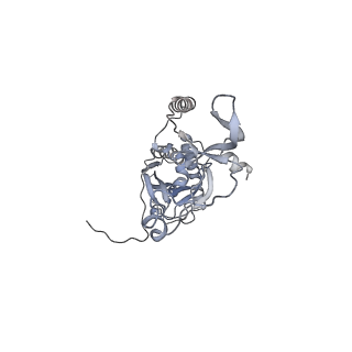 41100_8t8o_TA_v1-0
CCW Flagellar Switch Complex - FliF, FliG, FliM, and FliN forming 34-mer C-ring from Salmonella