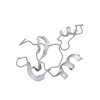 41100_8t8o_TB_v1-0
CCW Flagellar Switch Complex - FliF, FliG, FliM, and FliN forming 34-mer C-ring from Salmonella