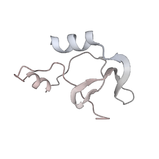 41100_8t8o_TE_v1-0
CCW Flagellar Switch Complex - FliF, FliG, FliM, and FliN forming 34-mer C-ring from Salmonella