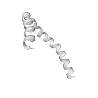 41100_8t8o_TF_v1-0
CCW Flagellar Switch Complex - FliF, FliG, FliM, and FliN forming 34-mer C-ring from Salmonella