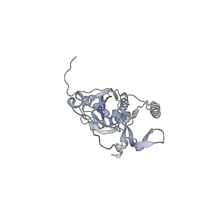 41100_8t8o_TG_v1-0
CCW Flagellar Switch Complex - FliF, FliG, FliM, and FliN forming 34-mer C-ring from Salmonella