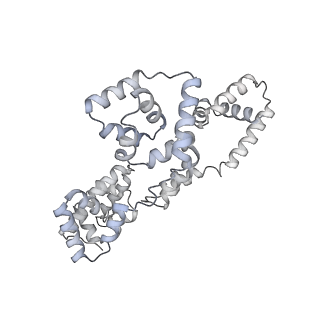 41100_8t8o_T_v1-0
CCW Flagellar Switch Complex - FliF, FliG, FliM, and FliN forming 34-mer C-ring from Salmonella