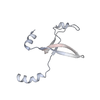 41100_8t8o_UA_v1-0
CCW Flagellar Switch Complex - FliF, FliG, FliM, and FliN forming 34-mer C-ring from Salmonella