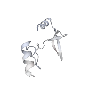 41100_8t8o_UB_v1-0
CCW Flagellar Switch Complex - FliF, FliG, FliM, and FliN forming 34-mer C-ring from Salmonella