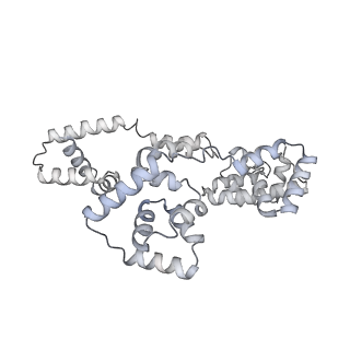 41100_8t8o_UC_v1-0
CCW Flagellar Switch Complex - FliF, FliG, FliM, and FliN forming 34-mer C-ring from Salmonella