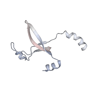 41100_8t8o_UD_v1-0
CCW Flagellar Switch Complex - FliF, FliG, FliM, and FliN forming 34-mer C-ring from Salmonella