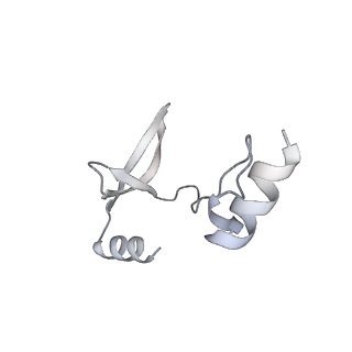 41100_8t8o_UE_v1-0
CCW Flagellar Switch Complex - FliF, FliG, FliM, and FliN forming 34-mer C-ring from Salmonella