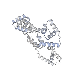 41100_8t8o_UF_v1-0
CCW Flagellar Switch Complex - FliF, FliG, FliM, and FliN forming 34-mer C-ring from Salmonella