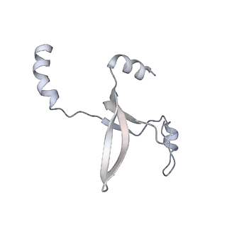 41100_8t8o_UG_v1-0
CCW Flagellar Switch Complex - FliF, FliG, FliM, and FliN forming 34-mer C-ring from Salmonella