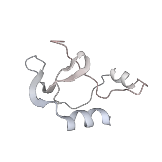 41100_8t8o_VA_v1-0
CCW Flagellar Switch Complex - FliF, FliG, FliM, and FliN forming 34-mer C-ring from Salmonella