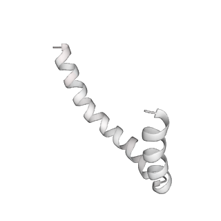 41100_8t8o_VB_v1-0
CCW Flagellar Switch Complex - FliF, FliG, FliM, and FliN forming 34-mer C-ring from Salmonella