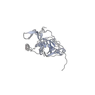 41100_8t8o_VC_v1-0
CCW Flagellar Switch Complex - FliF, FliG, FliM, and FliN forming 34-mer C-ring from Salmonella