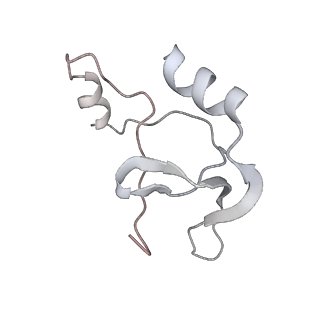 41100_8t8o_VD_v1-0
CCW Flagellar Switch Complex - FliF, FliG, FliM, and FliN forming 34-mer C-ring from Salmonella