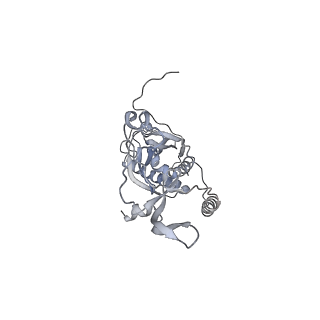 41100_8t8o_VF_v1-0
CCW Flagellar Switch Complex - FliF, FliG, FliM, and FliN forming 34-mer C-ring from Salmonella