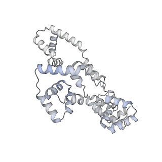 41100_8t8o_WB_v1-0
CCW Flagellar Switch Complex - FliF, FliG, FliM, and FliN forming 34-mer C-ring from Salmonella