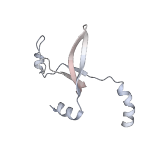 41100_8t8o_WC_v1-0
CCW Flagellar Switch Complex - FliF, FliG, FliM, and FliN forming 34-mer C-ring from Salmonella