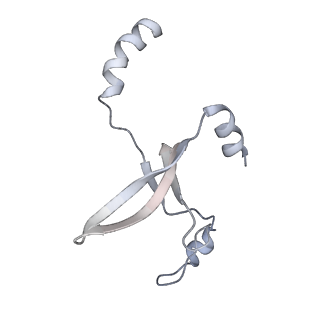 41100_8t8o_WF_v1-0
CCW Flagellar Switch Complex - FliF, FliG, FliM, and FliN forming 34-mer C-ring from Salmonella