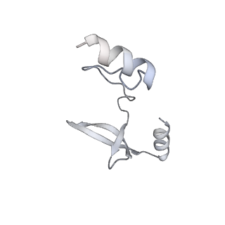 41100_8t8o_WG_v1-0
CCW Flagellar Switch Complex - FliF, FliG, FliM, and FliN forming 34-mer C-ring from Salmonella