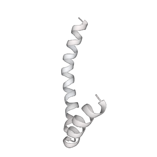 41100_8t8o_XA_v1-0
CCW Flagellar Switch Complex - FliF, FliG, FliM, and FliN forming 34-mer C-ring from Salmonella