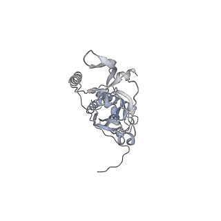 41100_8t8o_XB_v1-0
CCW Flagellar Switch Complex - FliF, FliG, FliM, and FliN forming 34-mer C-ring from Salmonella