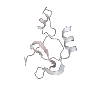 41100_8t8o_XC_v1-0
CCW Flagellar Switch Complex - FliF, FliG, FliM, and FliN forming 34-mer C-ring from Salmonella