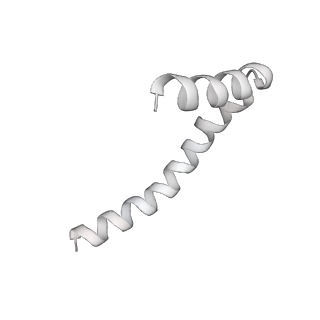 41100_8t8o_XD_v1-0
CCW Flagellar Switch Complex - FliF, FliG, FliM, and FliN forming 34-mer C-ring from Salmonella