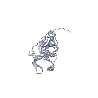 41100_8t8o_XE_v1-0
CCW Flagellar Switch Complex - FliF, FliG, FliM, and FliN forming 34-mer C-ring from Salmonella