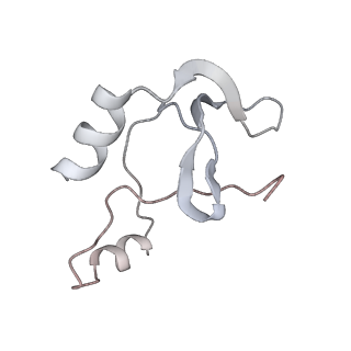 41100_8t8o_XF_v1-0
CCW Flagellar Switch Complex - FliF, FliG, FliM, and FliN forming 34-mer C-ring from Salmonella