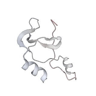 41100_8t8o_X_v1-0
CCW Flagellar Switch Complex - FliF, FliG, FliM, and FliN forming 34-mer C-ring from Salmonella