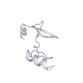 41100_8t8o_YC_v1-0
CCW Flagellar Switch Complex - FliF, FliG, FliM, and FliN forming 34-mer C-ring from Salmonella