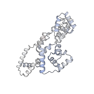 41100_8t8o_YD_v1-0
CCW Flagellar Switch Complex - FliF, FliG, FliM, and FliN forming 34-mer C-ring from Salmonella