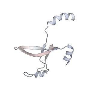 41100_8t8o_YE_v1-0
CCW Flagellar Switch Complex - FliF, FliG, FliM, and FliN forming 34-mer C-ring from Salmonella