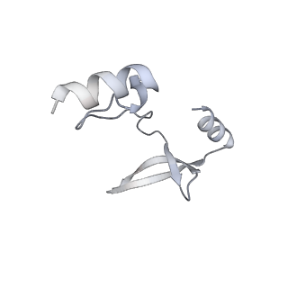 41100_8t8o_Y_v1-0
CCW Flagellar Switch Complex - FliF, FliG, FliM, and FliN forming 34-mer C-ring from Salmonella