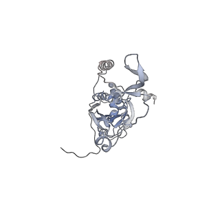 41100_8t8o_ZA_v1-0
CCW Flagellar Switch Complex - FliF, FliG, FliM, and FliN forming 34-mer C-ring from Salmonella