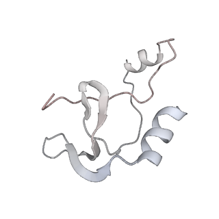 41100_8t8o_ZB_v1-0
CCW Flagellar Switch Complex - FliF, FliG, FliM, and FliN forming 34-mer C-ring from Salmonella