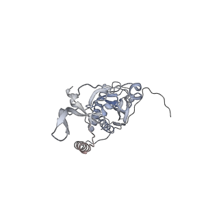 41100_8t8o_ZD_v1-0
CCW Flagellar Switch Complex - FliF, FliG, FliM, and FliN forming 34-mer C-ring from Salmonella