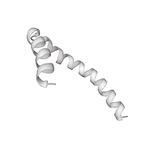 41100_8t8o_ZF_v1-0
CCW Flagellar Switch Complex - FliF, FliG, FliM, and FliN forming 34-mer C-ring from Salmonella