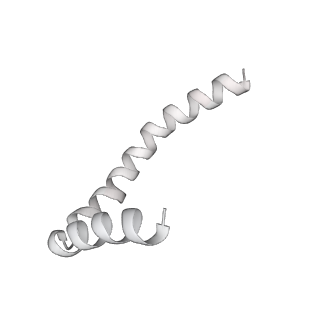 41100_8t8o_Z_v1-0
CCW Flagellar Switch Complex - FliF, FliG, FliM, and FliN forming 34-mer C-ring from Salmonella