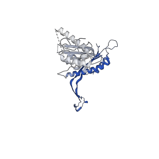 41101_8t8p_AA_v1-0
33-mer FliF MS-ring from Salmonella