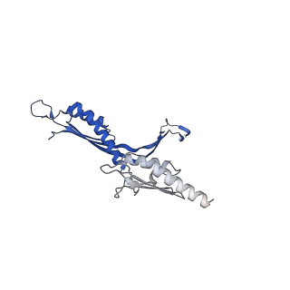 41101_8t8p_A_v1-0
33-mer FliF MS-ring from Salmonella