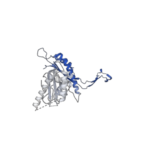 41101_8t8p_B_v1-0
33-mer FliF MS-ring from Salmonella