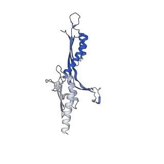 41101_8t8p_CA_v1-0
33-mer FliF MS-ring from Salmonella