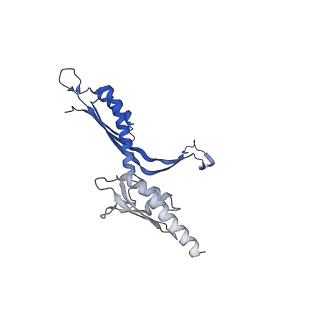 41101_8t8p_C_v1-0
33-mer FliF MS-ring from Salmonella